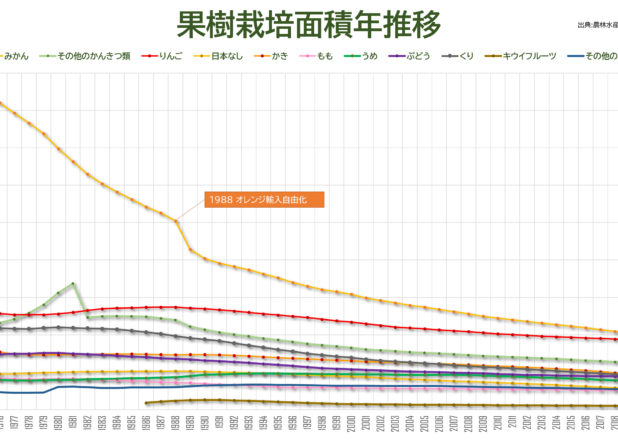 果樹栽培面積年推移